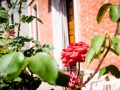 AAB_0080