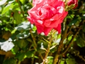 AAB_0081