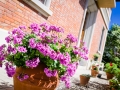 AAB_0088